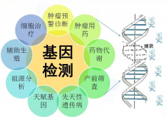 为什么染色体异常患者需要做第三代试管?
