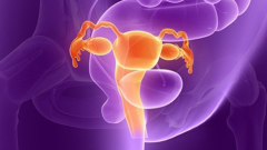 试管移植屡战屡败？别急，这些检查项目帮你找出失败真凶！