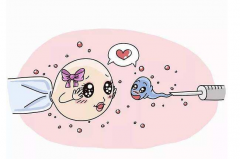 廊坊哪家试管医院强？人民医院成功率领跑全城！