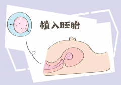 胚胎移植后遇这些症状别慌，多是胚胎悄悄“安家”的信号！