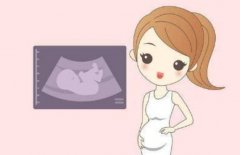 选择试管医院成功率并非唯一标准，费用也是一个重要因素