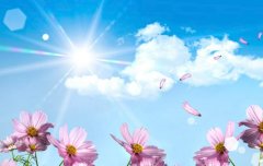 拮抗剂方案冻胚移植的优势，冻胚移植与鲜胚移植要怎么选择？