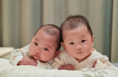 2024年试管龙凤胎费用全解析：八大因素决定价格高低，您了解多少？