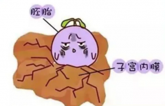 2024最新！湖南不孕不育医院TOP3榜单，选对医院快速好孕！