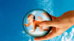 女性没有子宫还能生孩子吗？不妨试试辅助生殖试管