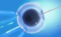 试管鲜胚移植需要准备什么？哪些原因影响移植成功率？