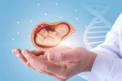 试管移植前做好这四点，着床不难！快来一起行动吧！