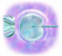 2024年遂宁做试管比较出名的医院及排名靠前名单