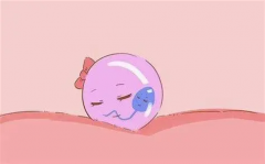 移植后黄体不足别慌张，四个方法助你快速恢复！