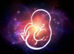 移植囊胚前为啥要打5天黄体酮？原来是为了提高着床成功率！