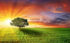 收藏！汕头两家医院不孕不育治疗数据对比表