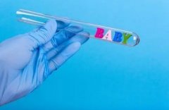 艾灸助力胚胎安稳着床——移植前的子宫环境调理秘诀