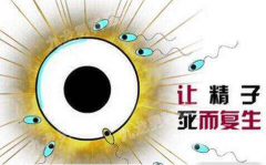 什么是男性死精症？对试管有什么影响？