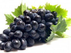 试管移植后能吃葡萄吗？专家建议：适量食用是关键！