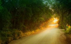 苏州市立医院试管技术简介，四位生殖科好评医生推荐