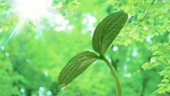 西安唐都医院第三代试管技术优势及注意事项