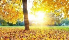 锦江妇幼保健院试管周期，锦江妇幼保健院的成功因素