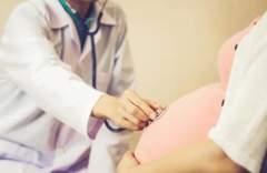 北京试管助孕机构费用：为何高价背后藏着高性价比？