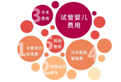 山东大学齐鲁医院试管，到底要花多少钱？