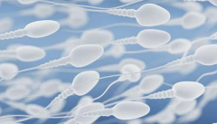 三代试管成功率新高度！湖北私立机构费用清晰透明，备孕知识全掌握