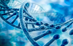 上海试管助孕，一二三代费用全解析，个性化选择攻略