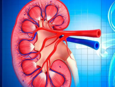  ‌南宁三代试管助孕费用揭秘：三甲医院费用虽高，但服务更全面？‌