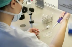 格鲁吉亚三代试管公司成功率深度剖析+医院全方位概览