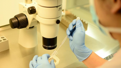 上海试管省钱窍门，三代试管费用主要有这些！