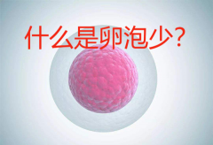女性卵泡少？照样生'男'孩！试管逆袭秘诀，你也能拥有！