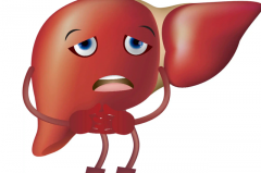 试管胚胎移植后为什么肝功能异常？一般只是暂时现象！