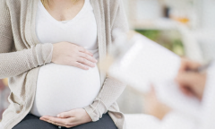 肇庆试管医院精选指南：四大成功秘诀，助您圆梦无忧！