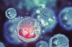 ‌必看！6种促排方案实战解析，优缺点一目了然，营销高手都在用！