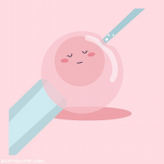 试管移植大揭秘：一个优质胚胎VS两个普通胚胎，哪个更胜一筹？专家来