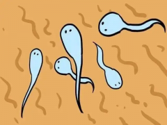 男性精子碎片率高，还能通过试管技术要孩子吗？这会对试管过程有哪些影响？