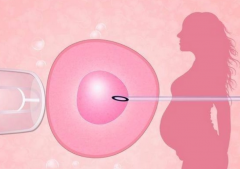 ‌江西试管医院排名TOP4出炉，2024备孕家庭必看指南！