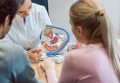 ‌洛阳试管医院大盘点：成功率、费用全解析，一键掌握！