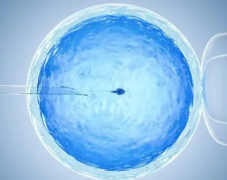 ‌泰安中心医院试管费用一览（2024版），附详细成功攻略