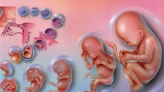 ‌海南儋州试管医院排名揭晓！2024年成功率前三强抢先看！