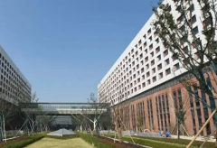 浙江大学第一医院试管费用明细，附2024年成功率排名！