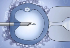 ‌桂林试管医院排名2024：费用透明，成功率一览无余！
