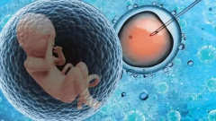 河南省人民医院三代试管预约全攻略，轻松挂号不迷路！