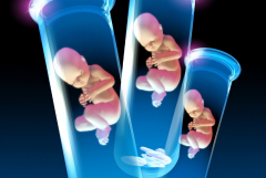 2024衡水三代试管医院挑选宝典！成功案例+真实评价，助你轻松选对好医