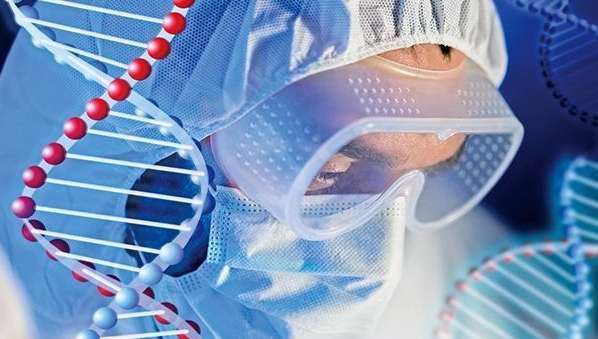 泰国试管双胞胎