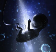 冻胚移植前一个月，这样调养身体，让试管之路更顺畅无忧！