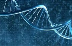 三代试管技术，真的能杜绝基因病吗？一探究竟！