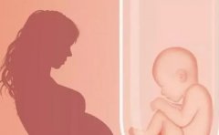 ‌温州三代试管生'男'孩费用大起底，费用高峰阶段详解！