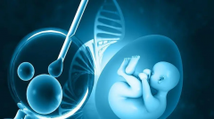 试管大PK：冷冻移植VS新鲜移植，哪个成功率更高？一次说清楚，让你不