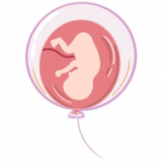 子宫腺肌症想要宝宝能做试管吗？过来人分享成功经验！