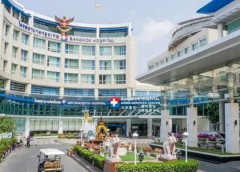 泰国康民国际医院好不好？试管非常专业！