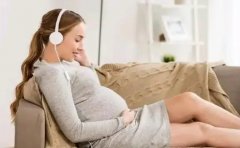 一站式服务！上海一妇婴试管攻略2024版：过程透明，风险可控